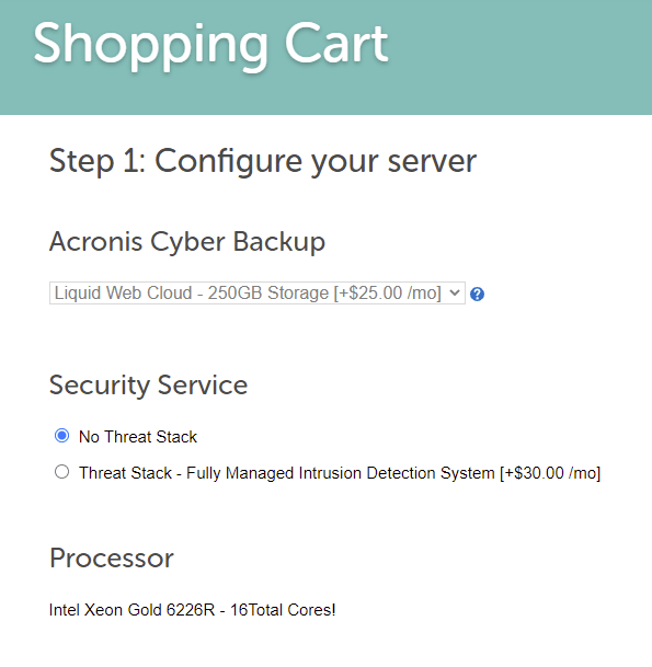 Step 2: Choose dedicated server backup and security