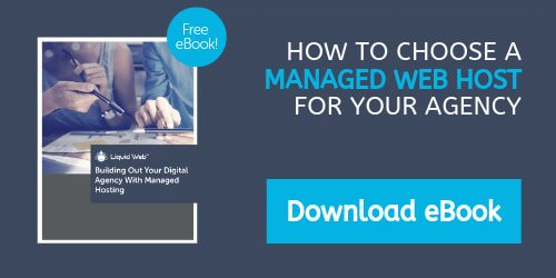 eBook - Building Out Your Digital Agency With Managed Hosting