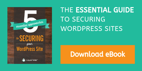 eBook - Essential WordPress Security download